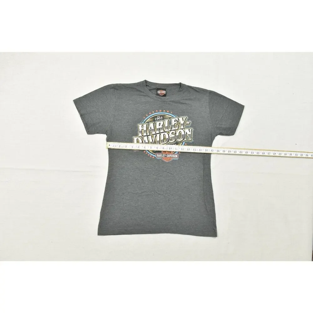 Harley-Davidson Highland Somerset PA Graphic T-Shirt Gray Heather Size M